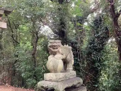 天満神社の狛犬