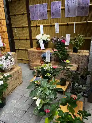 十番稲荷神社(東京都)