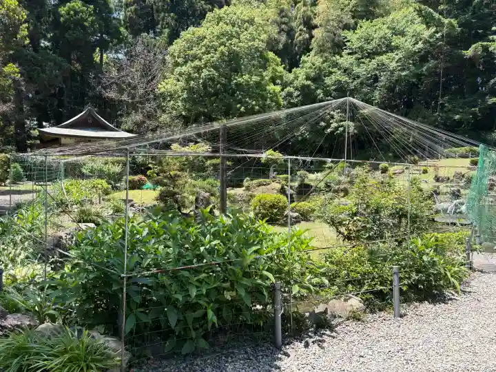 都農神社の{uncategorized: "未分類", other: "その他", undefined: "問題あり", building: "その他建物", grave: "お墓", sacred_gate: "鳥居", guardian: "狛犬", statue: "像", buddha: "仏像", history: "歴史", nature: "自然", garden: "庭園", animal: "動物", pagoda: "塔", temizu: "手水舎", mountain_gate: "山門・神門", sanctuary: "本殿・本堂", subordinate: "末社・摂社", art: "芸術", scenery: "景色", jizo: "地蔵", ema: "絵馬", goshuin: "御朱印", omikuji: "おみくじ", items: "授与品その他", amulet: "お守り", goshuincho: "御朱印帳", eats: "食事", festival: "お祭り", votive_dance: "神楽", shichigosan: "七五三参", wedding: "結婚式", experience: "体験その他", initially: "初詣", around: "周辺", anti_infection: "感染症対策"}