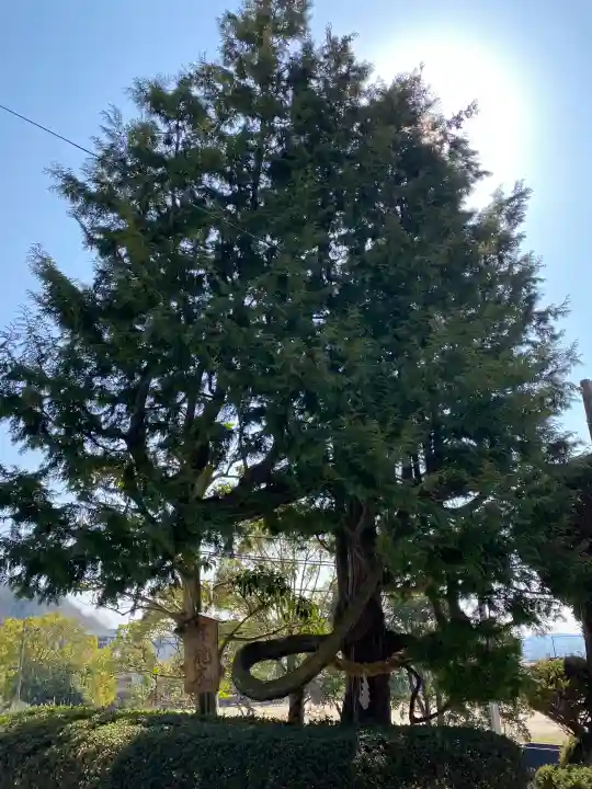 辰尾神社の{uncategorized: "未分類", other: "その他", undefined: "問題あり", building: "その他建物", grave: "お墓", sacred_gate: "鳥居", guardian: "狛犬", statue: "像", buddha: "仏像", history: "歴史", nature: "自然", garden: "庭園", animal: "動物", pagoda: "塔", temizu: "手水舎", mountain_gate: "山門・神門", sanctuary: "本殿・本堂", subordinate: "末社・摂社", art: "芸術", scenery: "景色", jizo: "地蔵", ema: "絵馬", goshuin: "御朱印", omikuji: "おみくじ", items: "授与品その他", amulet: "お守り", goshuincho: "御朱印帳", eats: "食事", festival: "お祭り", votive_dance: "神楽", shichigosan: "七五三参", wedding: "結婚式", experience: "体験その他", initially: "初詣", around: "周辺", anti_infection: "感染症対策"}