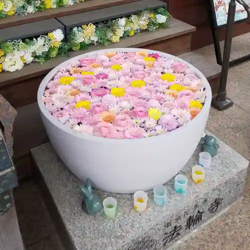 法輪寺(東京都)