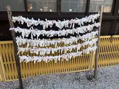 猿田彦神社のおみくじ