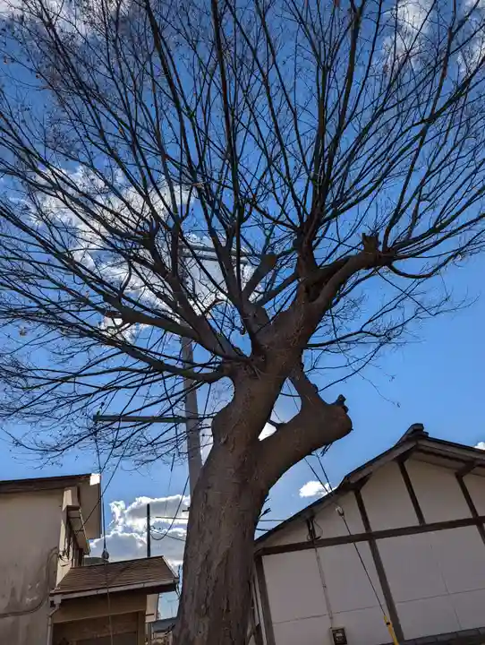 子守神社の自然