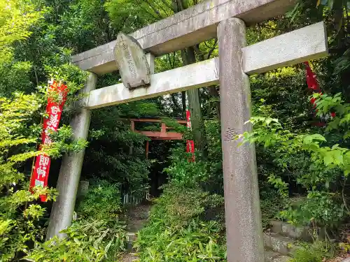 白髭稲荷大明神の鳥居