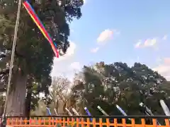 熊野那智神社の建物その他