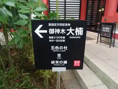 來宮神社(静岡県)