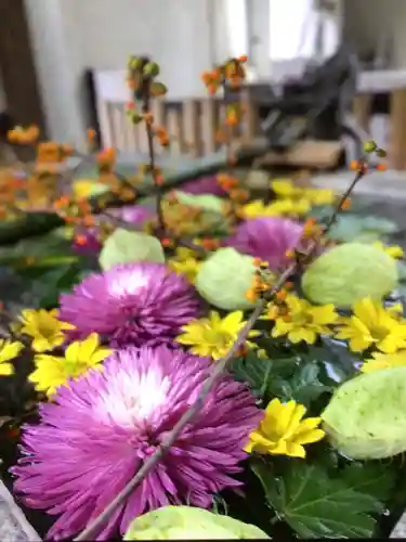高円寺氷川神社(東京都)