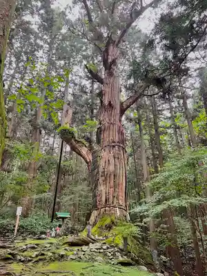 志和稲荷神社の自然
