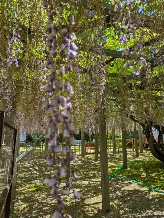 惣社神社(滋賀県)