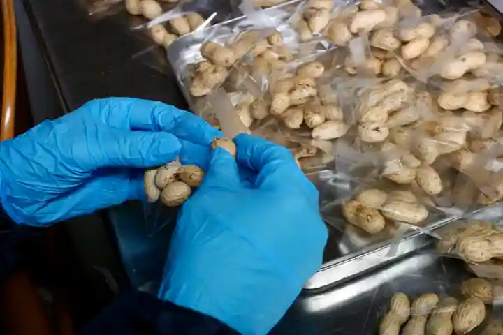 成田山大照寺(北海道)