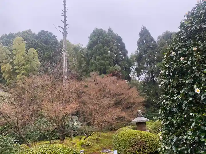 雲龍院(京都府)