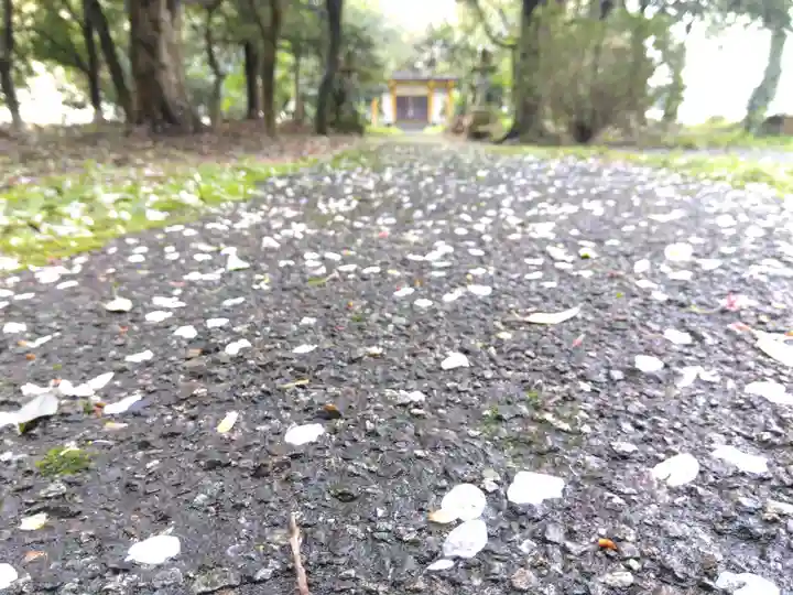 江守神社(福井県)