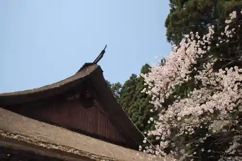 慈恩寺の本殿・本堂