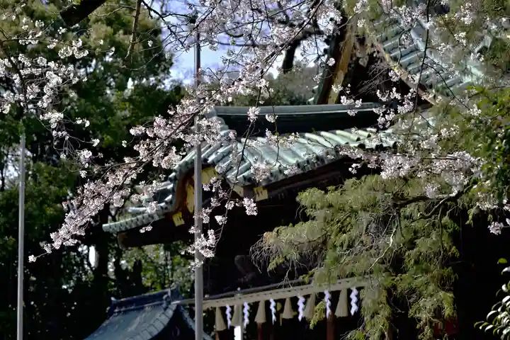 三嶋大社(静岡県)
