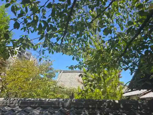 報恩寺(京都府)