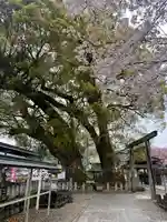 尾鷲神社(三重県)