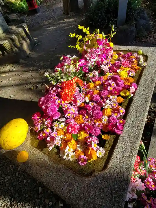 磯山弁財天(栃木県)