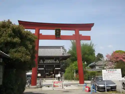 梅宮大社の鳥居