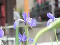 地蔵院(旧法界寺)(滋賀県)