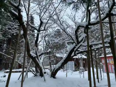 伊佐須美神社の{uncategorized: "未分類", other: "その他", undefined: "問題あり", building: "その他建物", grave: "お墓", sacred_gate: "鳥居", guardian: "狛犬", statue: "像", buddha: "仏像", history: "歴史", nature: "自然", garden: "庭園", animal: "動物", pagoda: "塔", temizu: "手水舎", mountain_gate: "山門・神門", sanctuary: "本殿・本堂", subordinate: "末社・摂社", art: "芸術", scenery: "景色", jizo: "地蔵", ema: "絵馬", goshuin: "御朱印", omikuji: "おみくじ", items: "授与品その他", amulet: "お守り", goshuincho: "御朱印帳", eats: "食事", festival: "お祭り", votive_dance: "神楽", shichigosan: "七五三参", wedding: "結婚式", experience: "体験その他", initially: "初詣", around: "周辺", anti_infection: "感染症対策"}