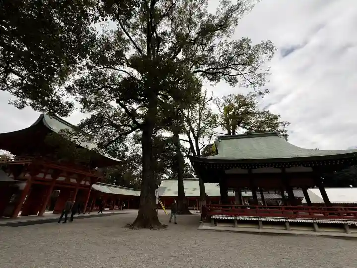 武蔵一宮氷川神社(埼玉県)