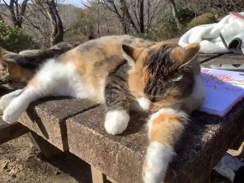 玉野御嶽神社の動物