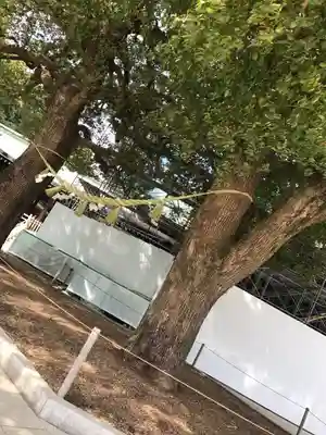 明治神宮のその他建物