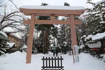 琴似神社の鳥居