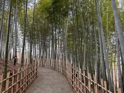 高徳院(愛知県)