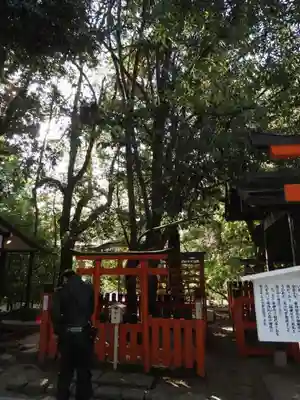 賀茂御祖神社(下鴨神社)の鳥居