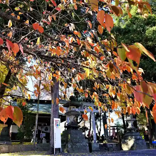 熊野福藏神社の景色