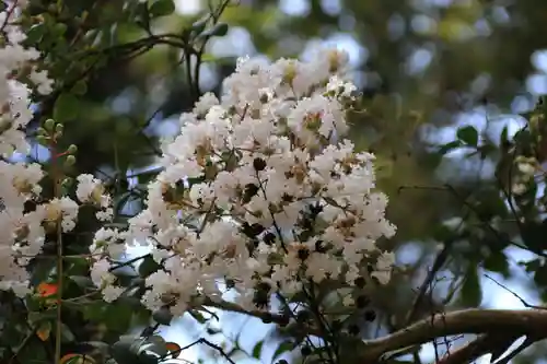 田村神社の庭園