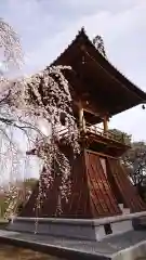 慈眼寺の建物その他