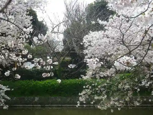 鶴岡八幡宮の庭園