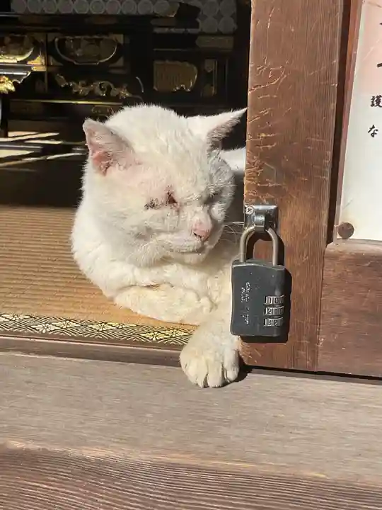 宝寿院(愛知県)