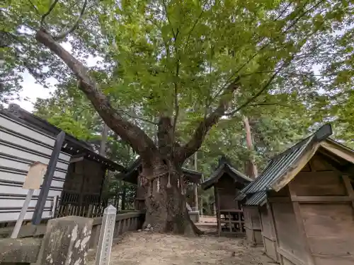 穂高神社本宮(長野県)