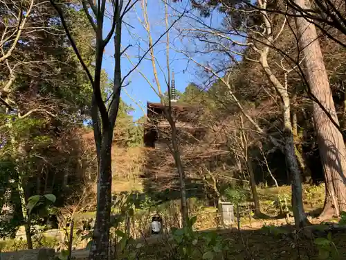 金剛輪寺の建物その他