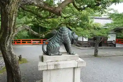 鞍馬寺の狛犬