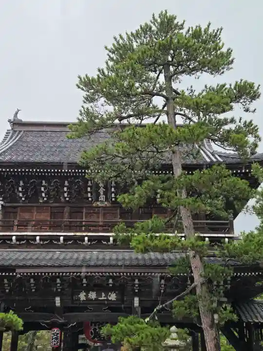 智恩寺(京都府)