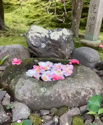 霊鑑寺門跡(京都府)