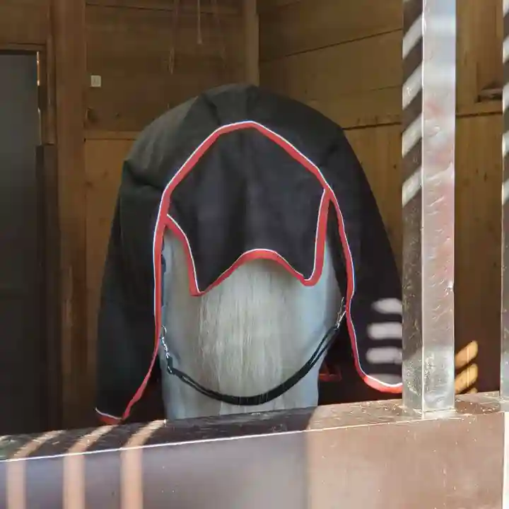 多度大社の動物