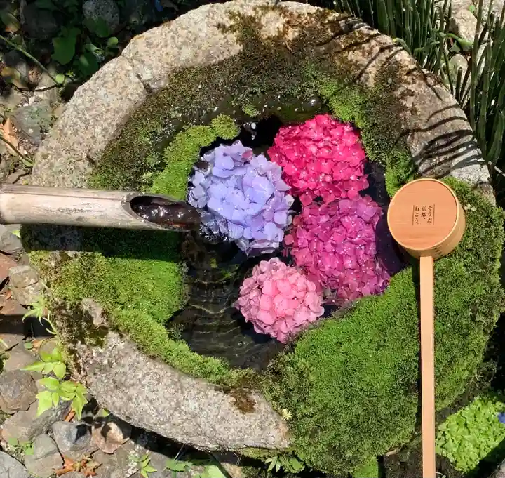 柳谷観音 楊谷寺の手水舎