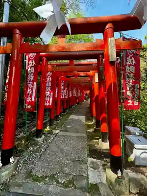 佐助稲荷神社の鳥居
