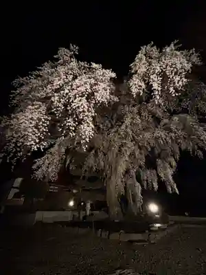妙道寺(栃木県)