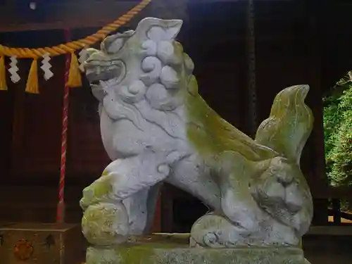 七百餘所神社 の狛犬