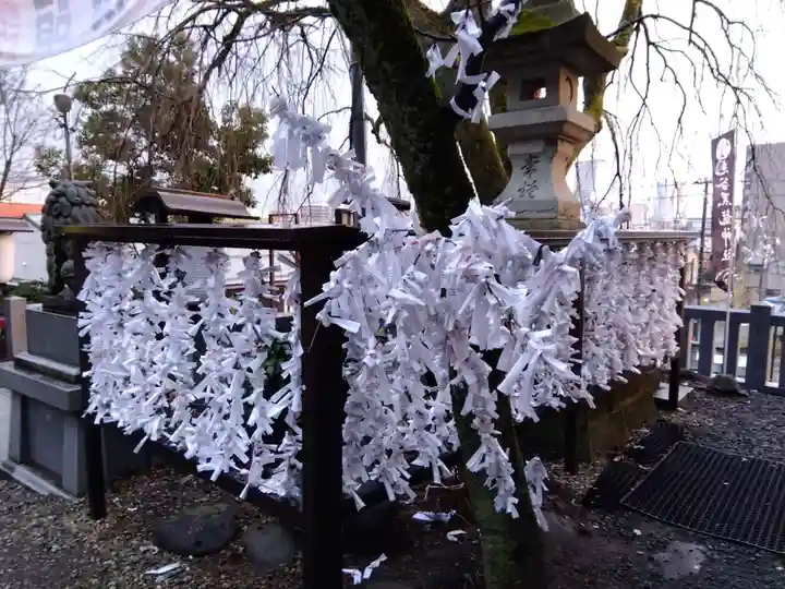 毛谷黒龍神社(福井県)