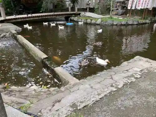 平塚八幡宮の庭園