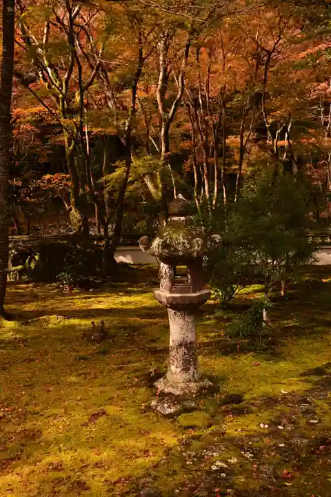 高山寺(京都府)