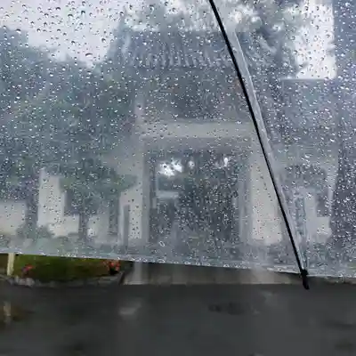 禅林寺の山門・神門