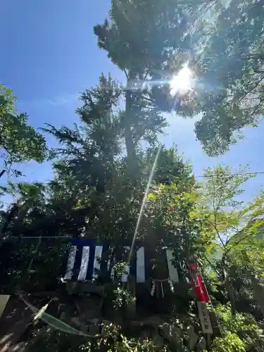 安居神社の自然